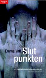 Bild på bokomslag för Slutpunkten