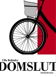 Bild på bokomslag för Domslut