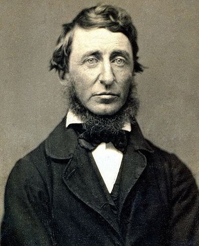 Författarporträtt av Thoreau, Henry David